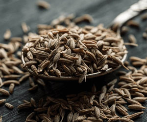 Cumin-Seeds--spices