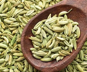 Fennel-Seeds