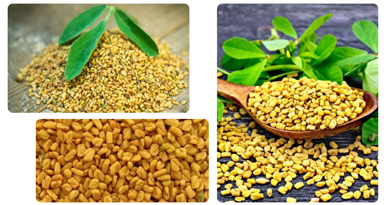 Fenugreek-Seeds-in