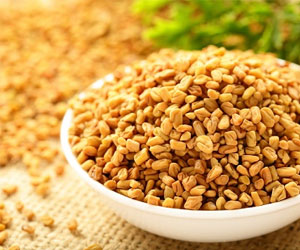 Fenugreek-Seeds-spices