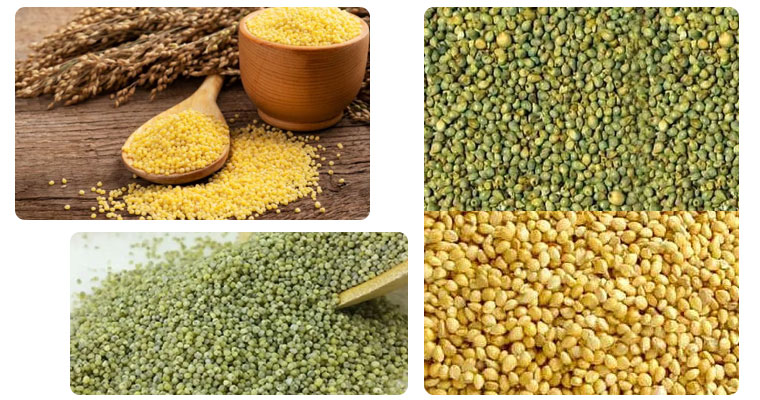 Millet-Green-and-Yellow-in