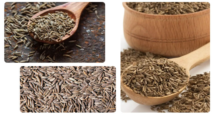 cumin-seeds-in