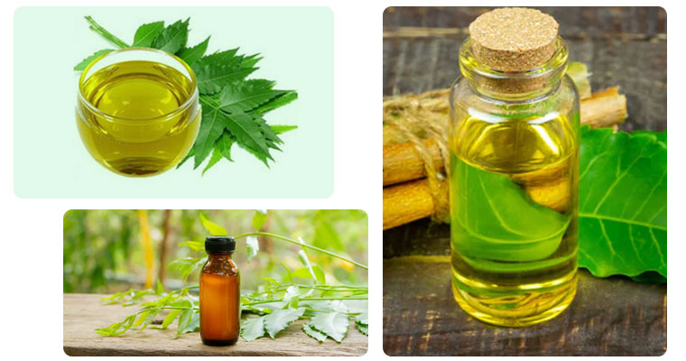 neem-oil-in